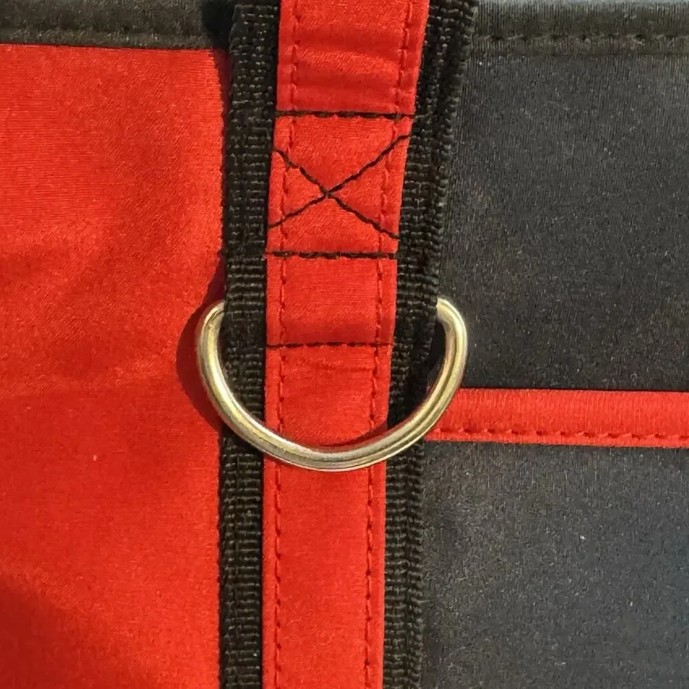 Boston Red Sox MLB Genuine Merch Messenger Bag Pro-Fan-ity by Little Earth Zip
